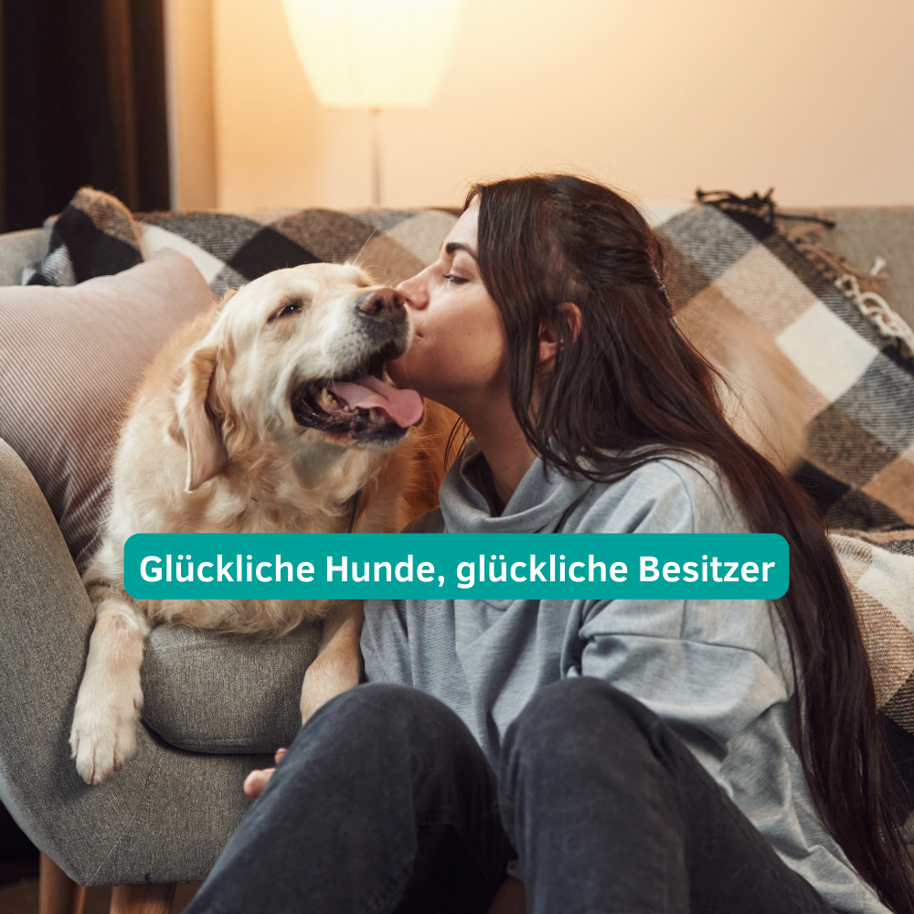 Ohren & Augenpflege für Hunde und Katzen