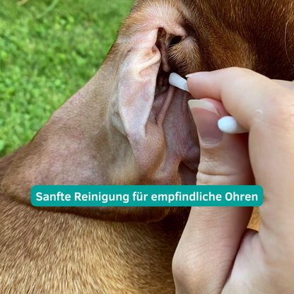 Ohren & Augenpflege für Hunde und Katzen