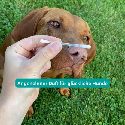 Ohren & Augenpflege für Hunde und Katzen